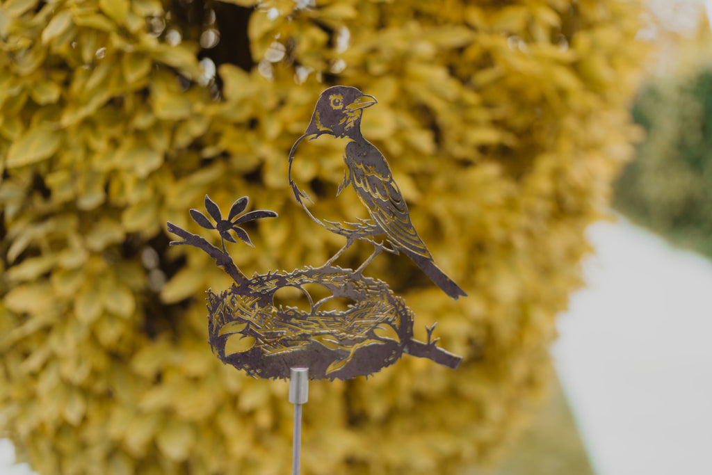 Robin with Nest