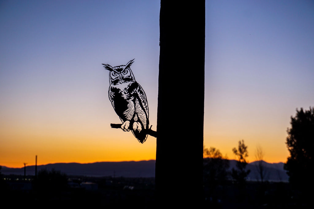 Great Horned Owl